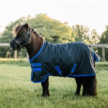 Amigo Ripstop 900 D petite Regendecke